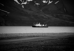 Spitsbergen-2014 - display this album Spitsbergen-2014